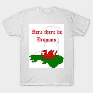 Here There Be Dragons - Wales Tee Shirt - Welsh Dragon T-Shirt